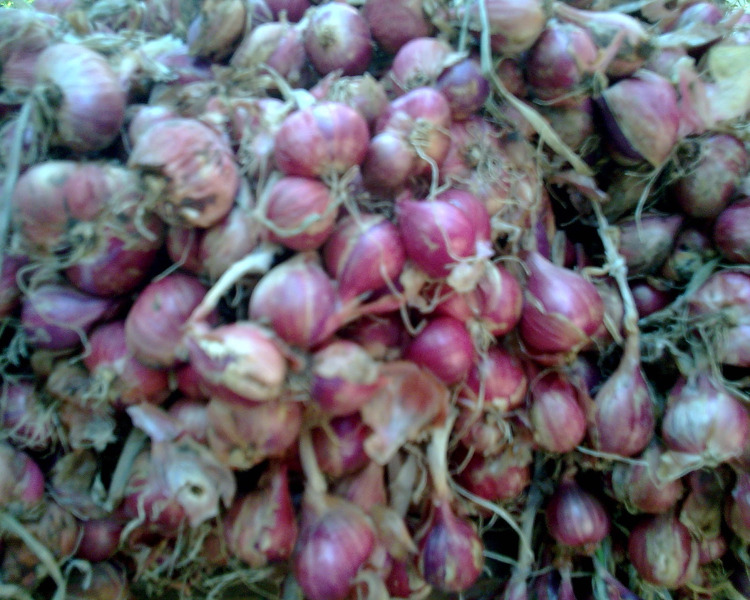 project-slider-image