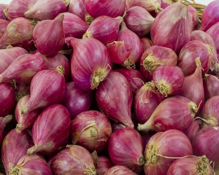 project-slider-image