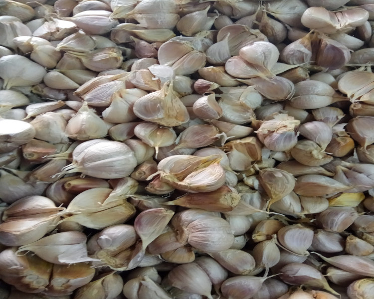 project-slider-image