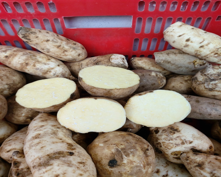 project-slider-image