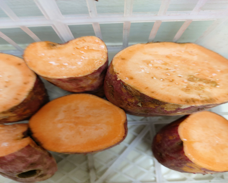 project-slider-image