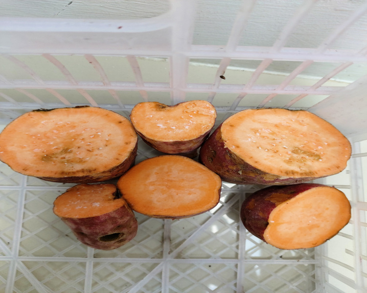 project-slider-image