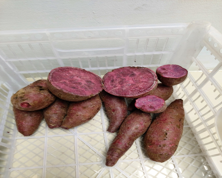 project-slider-image