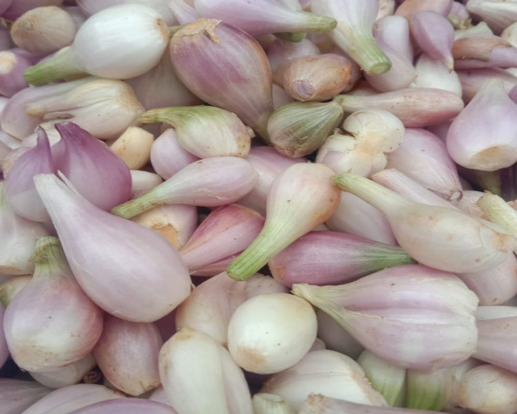 project-slider-image