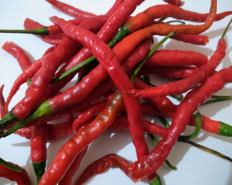 project-slider-image