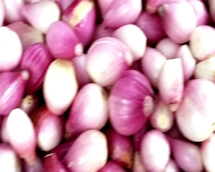 project-slider-image